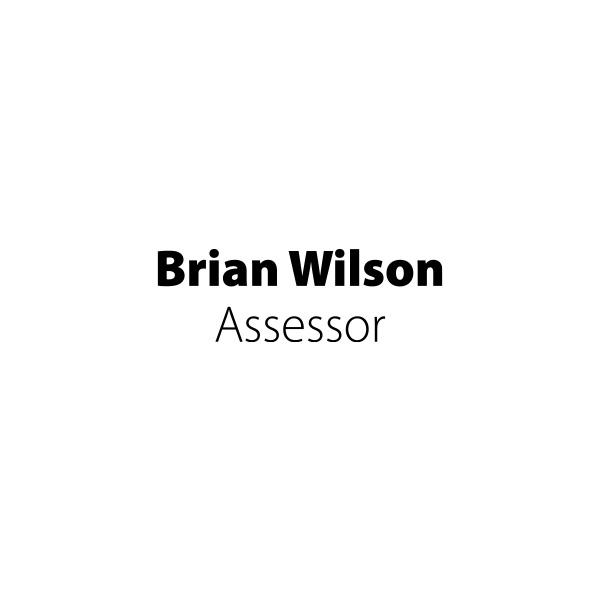 Brian Wilson logo