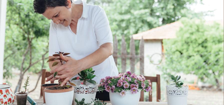 Container gardening on a table.